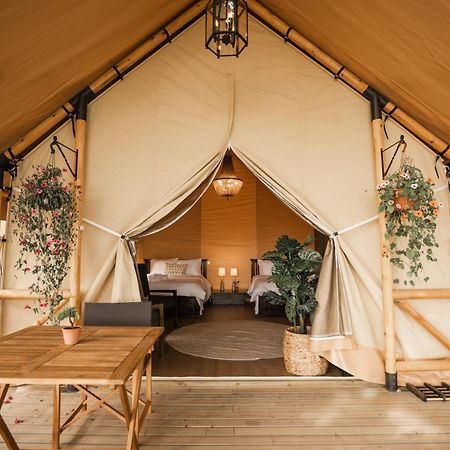ホテル Mia Glamping Orissaare エクステリア 写真